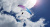 Параплан Sky Paragliders AEON (EN D)